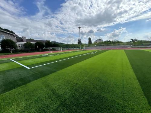 人造草足球场