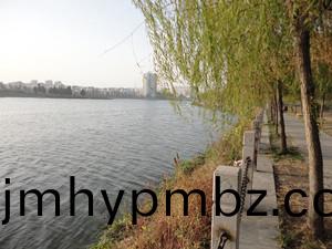 2018021211211021_V50iA0A1.jpg